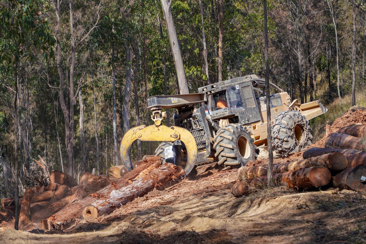 Hayden Timbers - Jeremy Rogers Photography