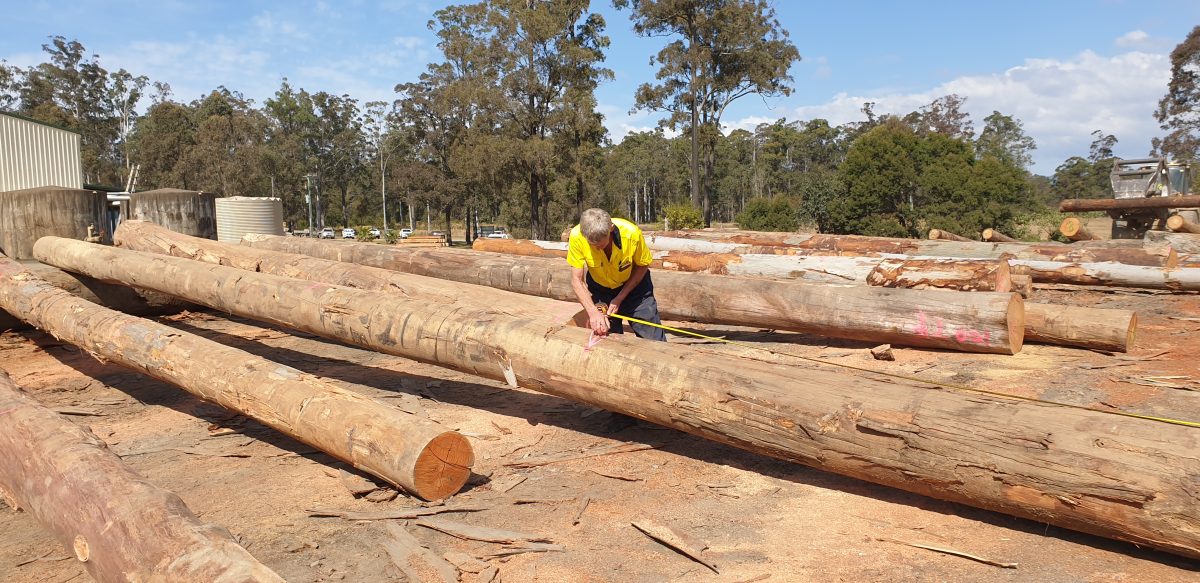 Log Yard