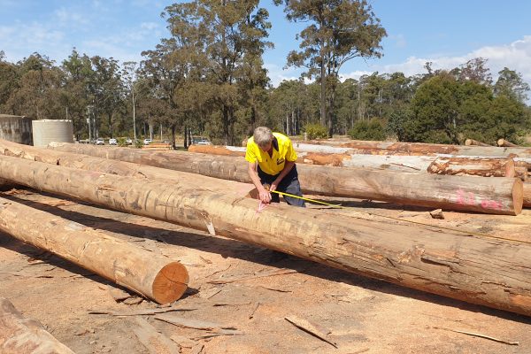 Log Yard