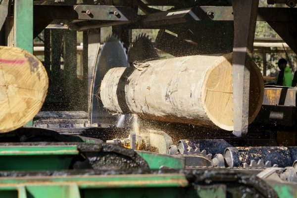Sawmill Processing