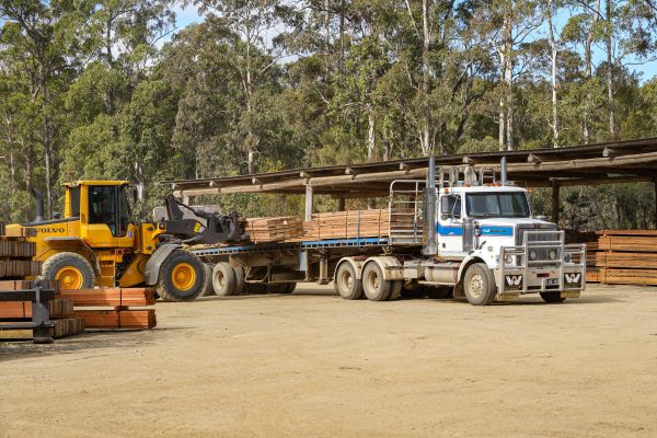 Timber Yard